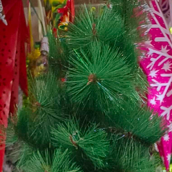 Donald-Freelancer in Vadodara,India