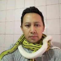 Prasetyo Budi-Freelancer in ,Indonesia
