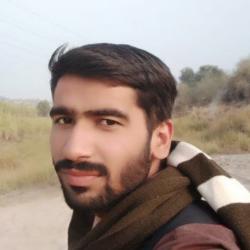 Waleed-Freelancer in Bahawalpur,Pakistan