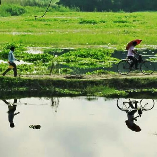 Afaz Uddin-Freelancer in ,Bangladesh