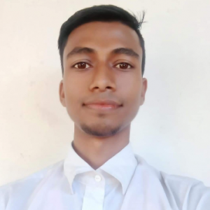 Md Maijul Islam Fahim-Freelancer in Sylhet,Bangladesh