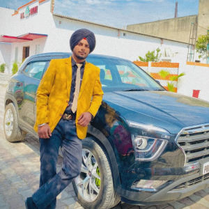 Satnam singh-Freelancer in Phillaur,India