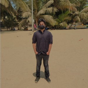 Abhishek Kumar-Freelancer in Navi Mumbai,India