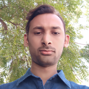 Ravi Mehta-Freelancer in Jamnagar,India