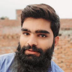 Faisal Hayat-Freelancer in Lahore,Pakistan