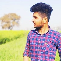 Rohit Yadav-Freelancer in Rewari,India