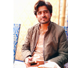 Tanveer Hussain-Freelancer in Sujawal,Pakistan