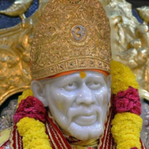 Shaji K-Freelancer in Kannur,India