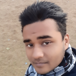 Garvit Agarwal-Freelancer in najibabad,India