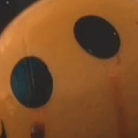 Shivam Sagar-Freelancer in Agra,India