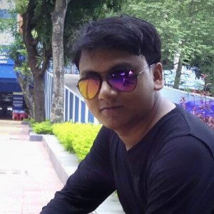 Partha Sarathi De-Freelancer in ,India