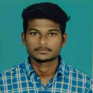 Praveen J-Freelancer in Chennai,India