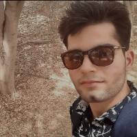 Pawan Soniz-Freelancer in Jodhpur,India