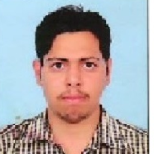 Virender Chandel-Freelancer in Kalka,India