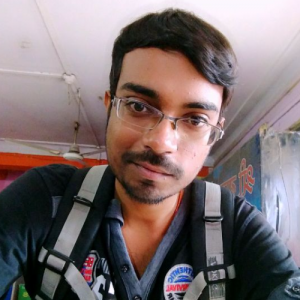 Vipin Borole-Freelancer in Delhi,India