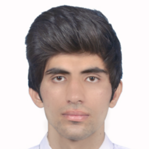 Abdullah Naveed-Freelancer in Lahore,Pakistan