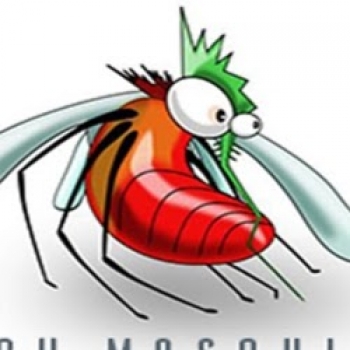 Tech Mosquito-Freelancer in Pune,India