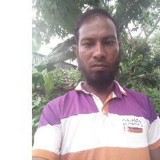 Hafizul Islam-Freelancer in Sirajganj,Bangladesh