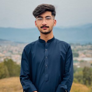 Muhammad Huzaifa Khan-Freelancer in Mansehra,Pakistan