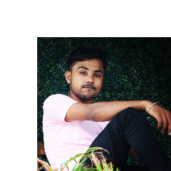 Ankur Singh Chaudhary-Freelancer in Ghaziabad,India