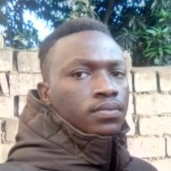 Regis Francois Niyisubiza-Freelancer in Musanze,Rwanda