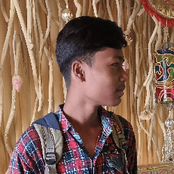 Ritesh Samanta-Freelancer in Nandakumar,India