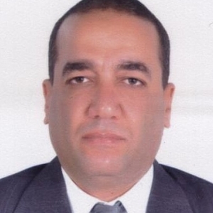 Raafat Mohamed-Freelancer in Cairo,Egypt