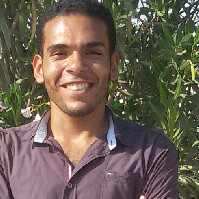 Ahmed Mohamed-Freelancer in ,Egypt