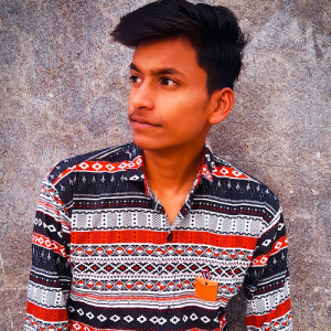 Prashant Kumar-Freelancer in Jodhpur,India