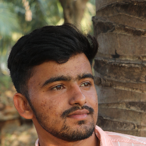 Axay Jadav-Freelancer in Somnath,India