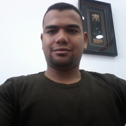 Ali Ahmed Ali Badr-Freelancer in Cairo,Egypt