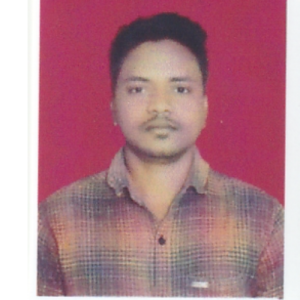 RASHMIRANJAN MALLICK-Freelancer in DARINGBADI,India