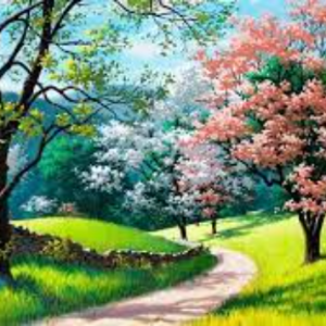 Ayesha Iftikhar-Freelancer in Lahore,Pakistan