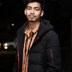 Ankit Choudhary-Freelancer in Jaipur,India