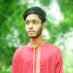 Monir Ahmmed-Freelancer in Dhaka,Bangladesh