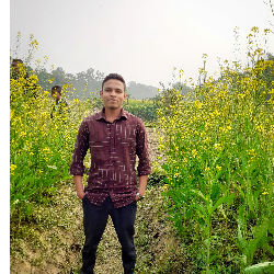 Md Sayfur Rahman-Freelancer in Sylhet,Bangladesh