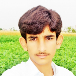 Muhammad Khokher-Freelancer in Multan,Pakistan