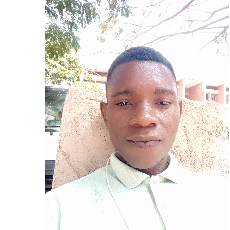 Emmanuel Dennis-Freelancer in FCT,Nigeria
