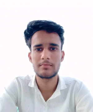 Vansh Rajput-Freelancer in Bhilwara,India