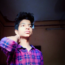 Sahil Jaysingpure-Freelancer in Nagpur,India