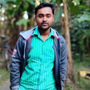 PRATIP BISWAS-Freelancer in KRISHNANAGAR,India