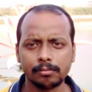 Suman Dey-Freelancer in Belonia,India