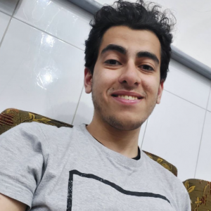 Ahmed Elharoun-Freelancer in Kafr Elshiekh,Egypt