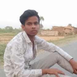 Danish Raja-Freelancer in Siwan,India