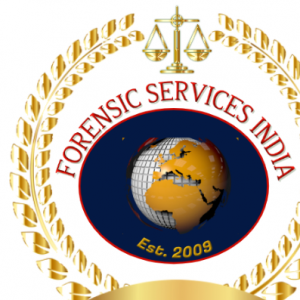 Syed Faisal Huda-Freelancer in Delhi,India