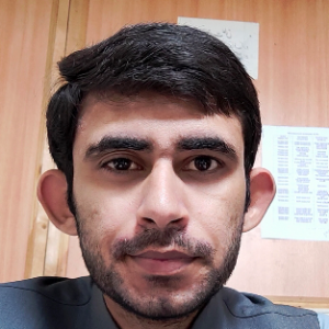 Ali Raza Laghari-Freelancer in Islamabad,Pakistan