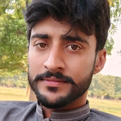 Zeeshan Rafique-Freelancer in Daska Kalan,Pakistan