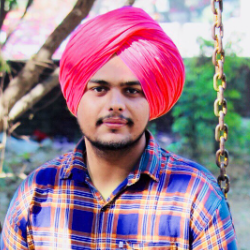 Palveer Singh-Freelancer in Chandigarh,India