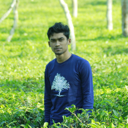 Sabbir Ahmed-Freelancer in Dhaka District,Bangladesh