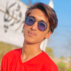 ramzan wadd-Freelancer in kahror pacca,Pakistan